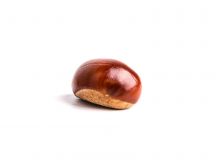 One big chestnut on a white background - HD wallpaper