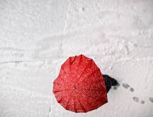 Red umbrella in shape of heart - Love winter