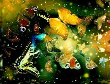 Wonderful butterflies fling - Abstract wallpaper
