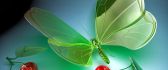 Crystal cherries and butterfly - Wonderful HD wallpaper