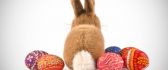 Brown fluffy rabbit and Easter eggs - Happy Spring Holiday