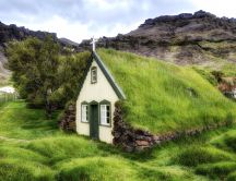 Church with green grass roof -Mountain view wonderful nature