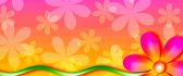 Hot colors and flowers on the wall - HD wallpaper