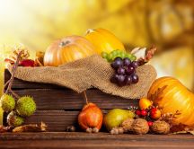 Goodies from Autumn season - Delicious fruits