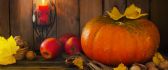 Big orange pumpkin and nuts - Autumn Fruits