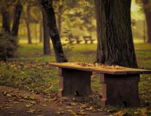 Wooden table in the park - Autumn leaves on the ground