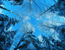 Good morning sunny winter day - Wonderful blue sky