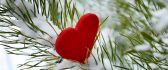 Red heart on a branch of tree full with snow - HD wallpaper