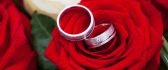 Wedding rings and beautiful red rose - Valentine's Day