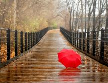 Lost red umbrella on a bridge - Autumn season rainy day