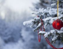 Red Christmas accessories in tree - White snow over nature