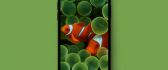 Two Nemo fish on the telephone background - Green iPhone