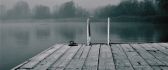 Gray day on the lake - HD mystique wallpaper