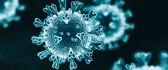 Millions of people dead in the hole world from coronavirus