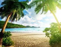 Tropical beach and palm - Summer holiday