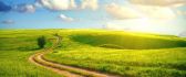 Country road on a beautiful green field - Spring sunny day