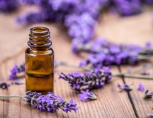 100 Benefits from Lavender Essential Oil - Good to have