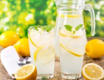 Prepare your delicious lemonade for a fresh day - Lemon Mint