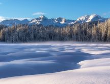 Wonderful winter season time snow white - HD wallpaper