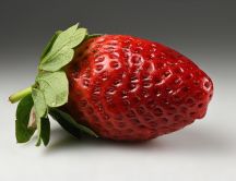 One big red strawberry - Macro wallpaper