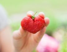 Delicious red strawberry in shape of heart - HD wallpaper