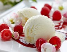 Raspberry fresh fruits and vanilla ice-cream - delicious