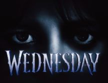 Dark eyes in the night - Wednesday Addams