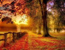 Autumn morning - beautiful golden sunrise