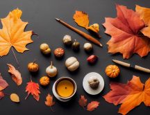 Autumn season flavours - Pumpkins soup
