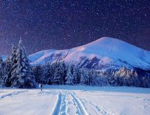 Wonderful blue winter night - HD wallpaper season time