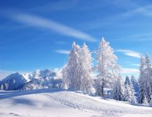 Beautiful white snowy time - Sun day in winter season