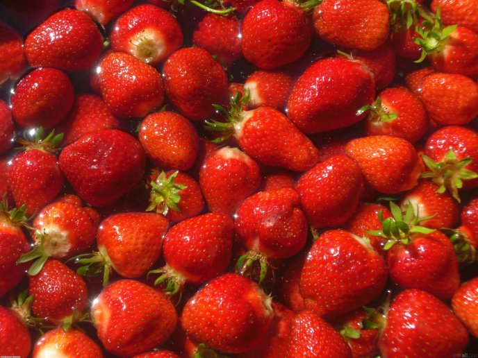 Fresh and delicious strawberries
