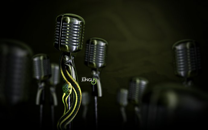 Audio Jungle Microphones