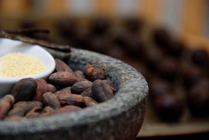 Roasted cocoa beans - macro