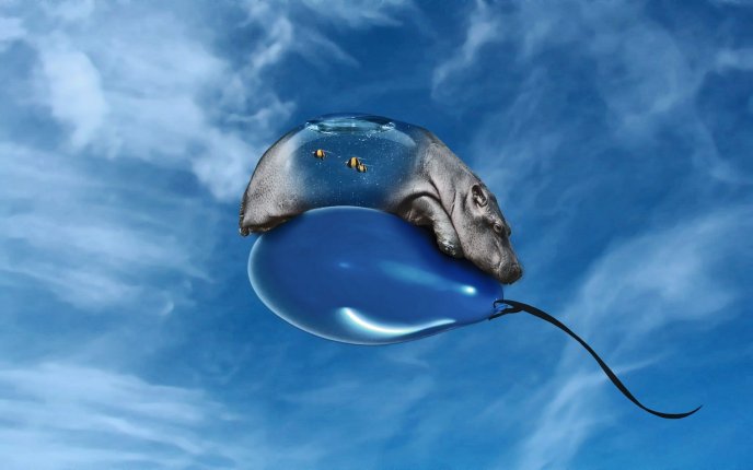 A hippo bored flies on a balloon
