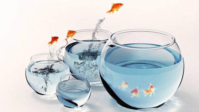 Fish playing - jumping in the water 3D wallpaper