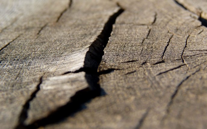 Macro - crack in the wood HD wallpaper