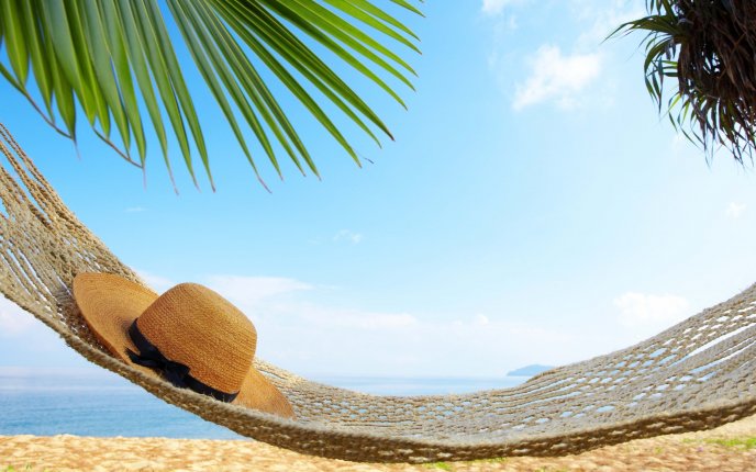Perfect day to relax on a hammock HD wallpaper