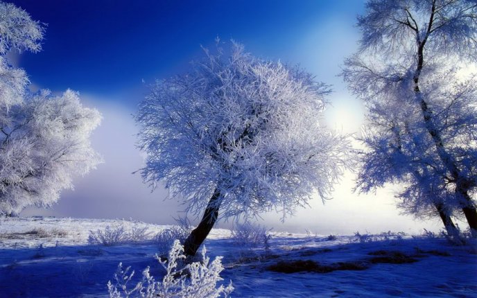 Winter time - play of colors - white and blue HD wallpaper
