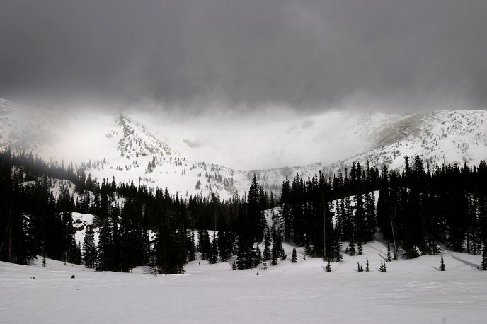 Gloomy weather - gray winter landscape