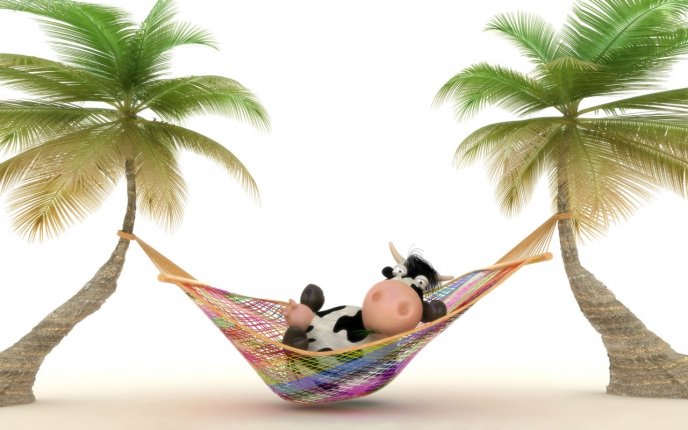 One cow in a hammock - funny wallpaper