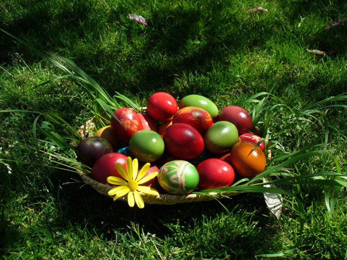 Straw basket filled with decorated eggs for Easter holiday