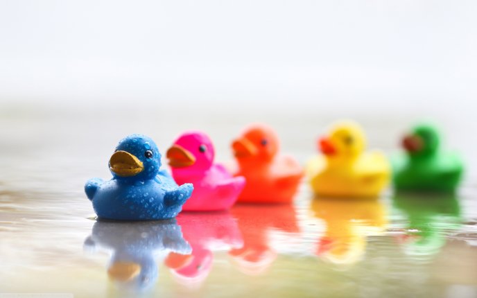 Dancing ducks - colored bath toys