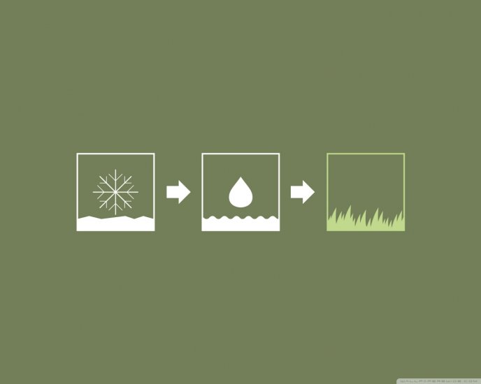 Snow plus water means grass