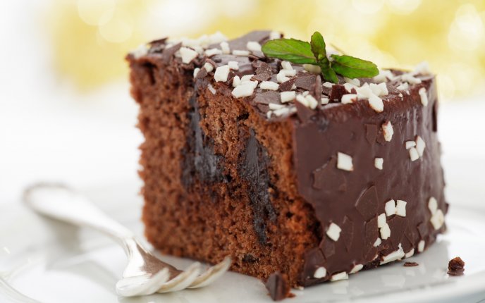 Delicious piece of cake - chocolate and mint