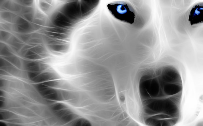 Digital art - a beautiful dog - Husky