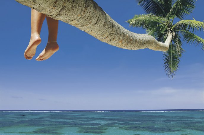 Relaxing time - watch the ocean from a palm