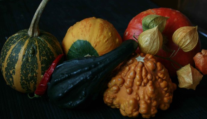 Vegetables - autumn riches