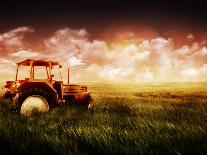 Tractor in the middle of the field - beautiful HD wallpaper