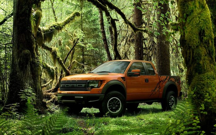 Big car in the forest - the powerful Ford Raptor